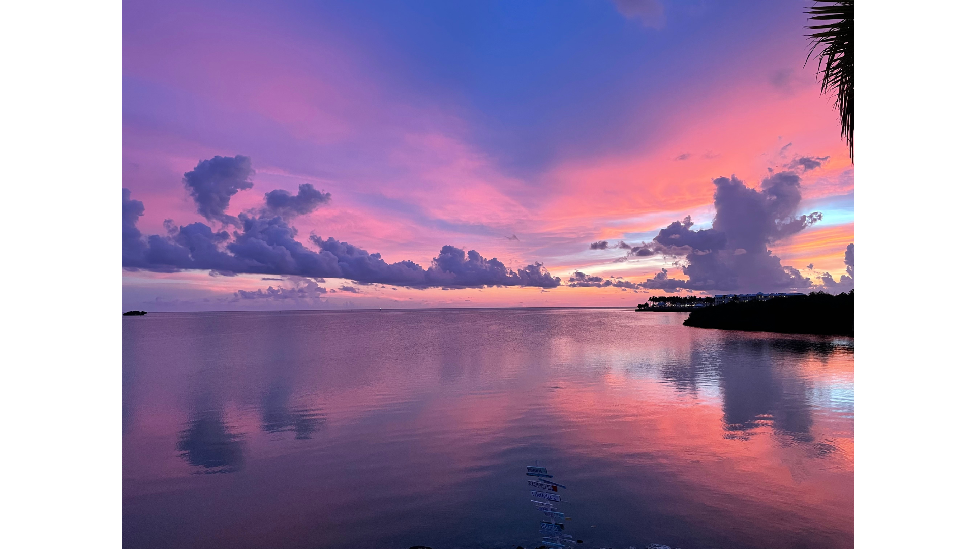 7 Nights Marathon, FL 2023 Discovering Hope Gala & Silent Auction